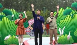 胜子大哥爆料视频大全最新,揭秘娱乐圈幕后真相